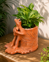 Musician Frog Terracotta Planter