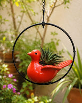 Flying Scarlet Songbird Moon Ring Planter