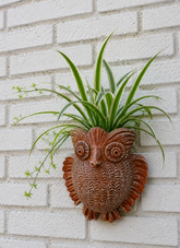Owl Terracotta Wall Planter