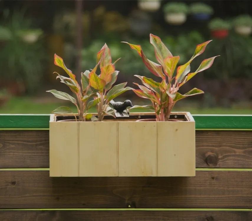 Planning & Designing A Mini Garden