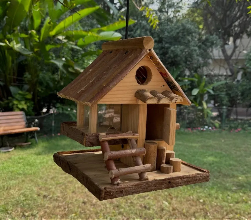 4 tips for feeding garden birds