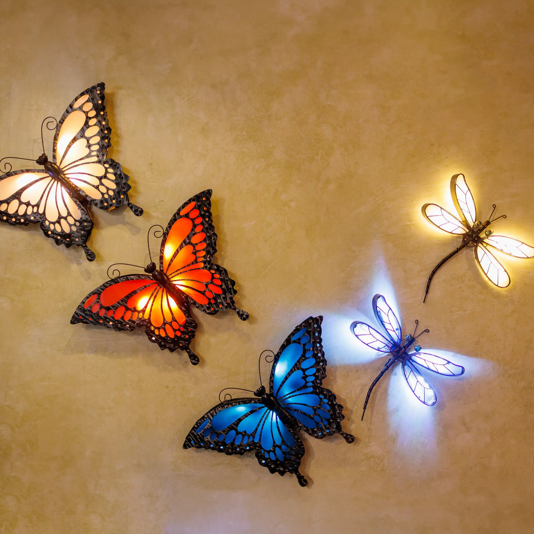 6 Steps for Creating a Butterfly Garden