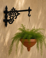 Classic Wall Plant Hanger