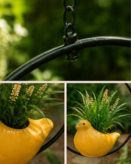 Sunbird Moon Ring Planter