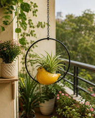 Sunbird Moon Ring Planter