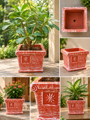 Square Terracotta Planter
