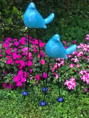 Blue Bird Digger