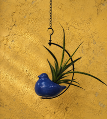 Indigo Bluebird Planter Swing Decor