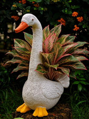 Classic Terracotta Duck (medium)