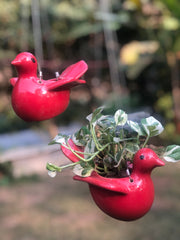 Red Songbird Ceramic Hanging Planter