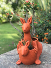 Kangaroo with Baby Planter