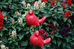 Red Bird Garden Digger