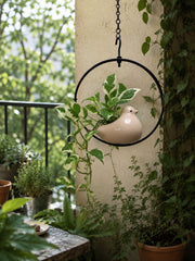 Sunbird Moon Ring Planter